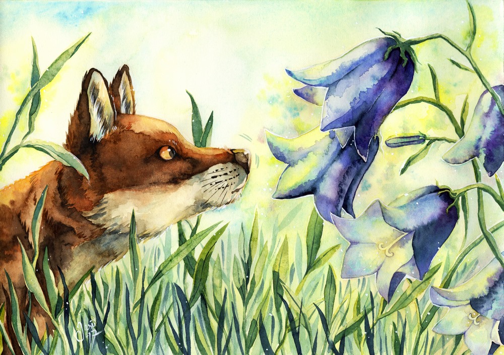 Original Painting - Fox and Bluebells